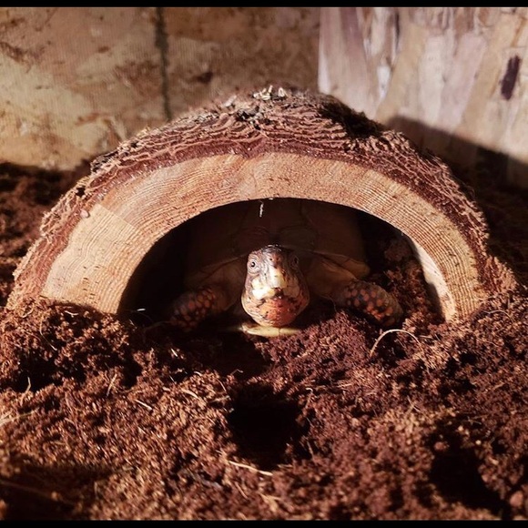 Meet your Posher, Daniela - Picture 6 of 8